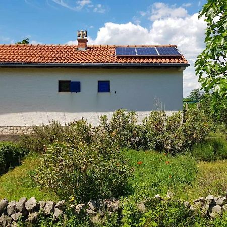 Villa Ecohouse Oliveglia à Šilo Extérieur photo