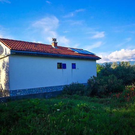 Villa Ecohouse Oliveglia à Šilo Extérieur photo