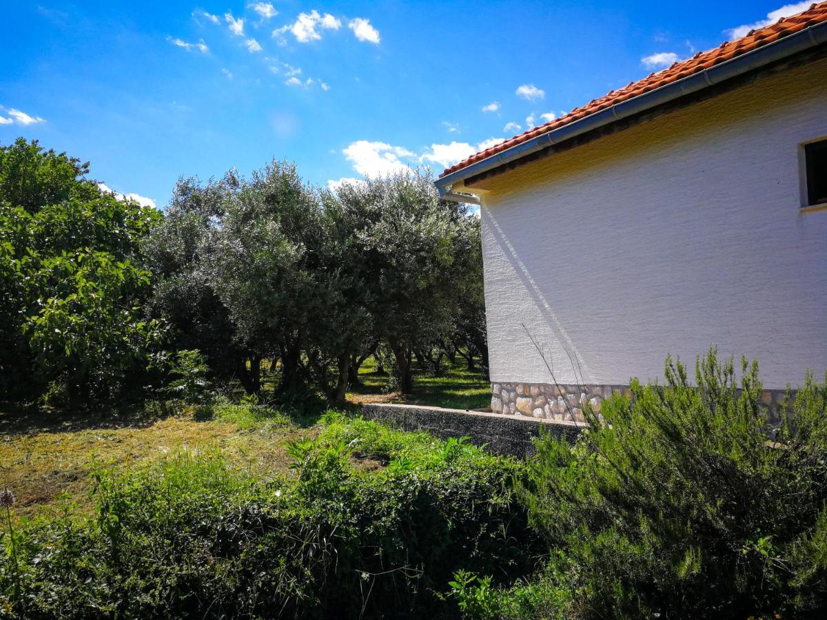 Villa Ecohouse Oliveglia à Šilo Extérieur photo